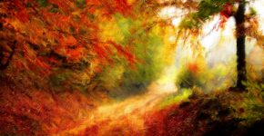 art-environnement