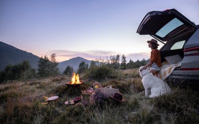 Qu’emporter pour se restaurer lors d’un voyage en voiture ?