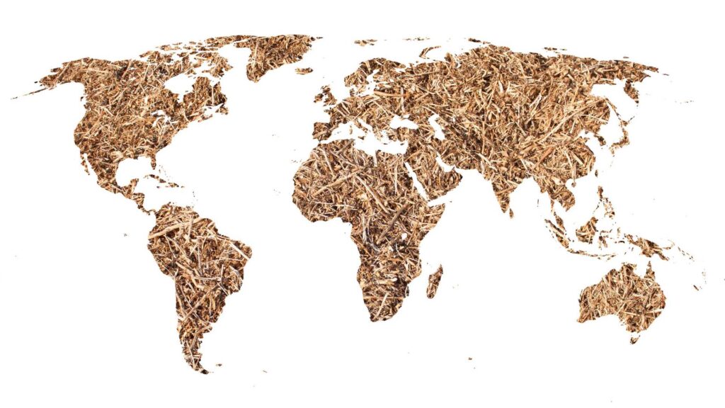 carte du monde en bois