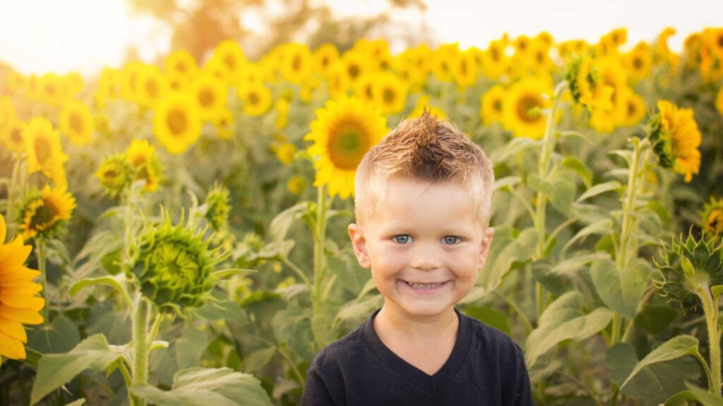 enfant dans un champ de tournesol 