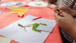 jeux ludique pour enfants