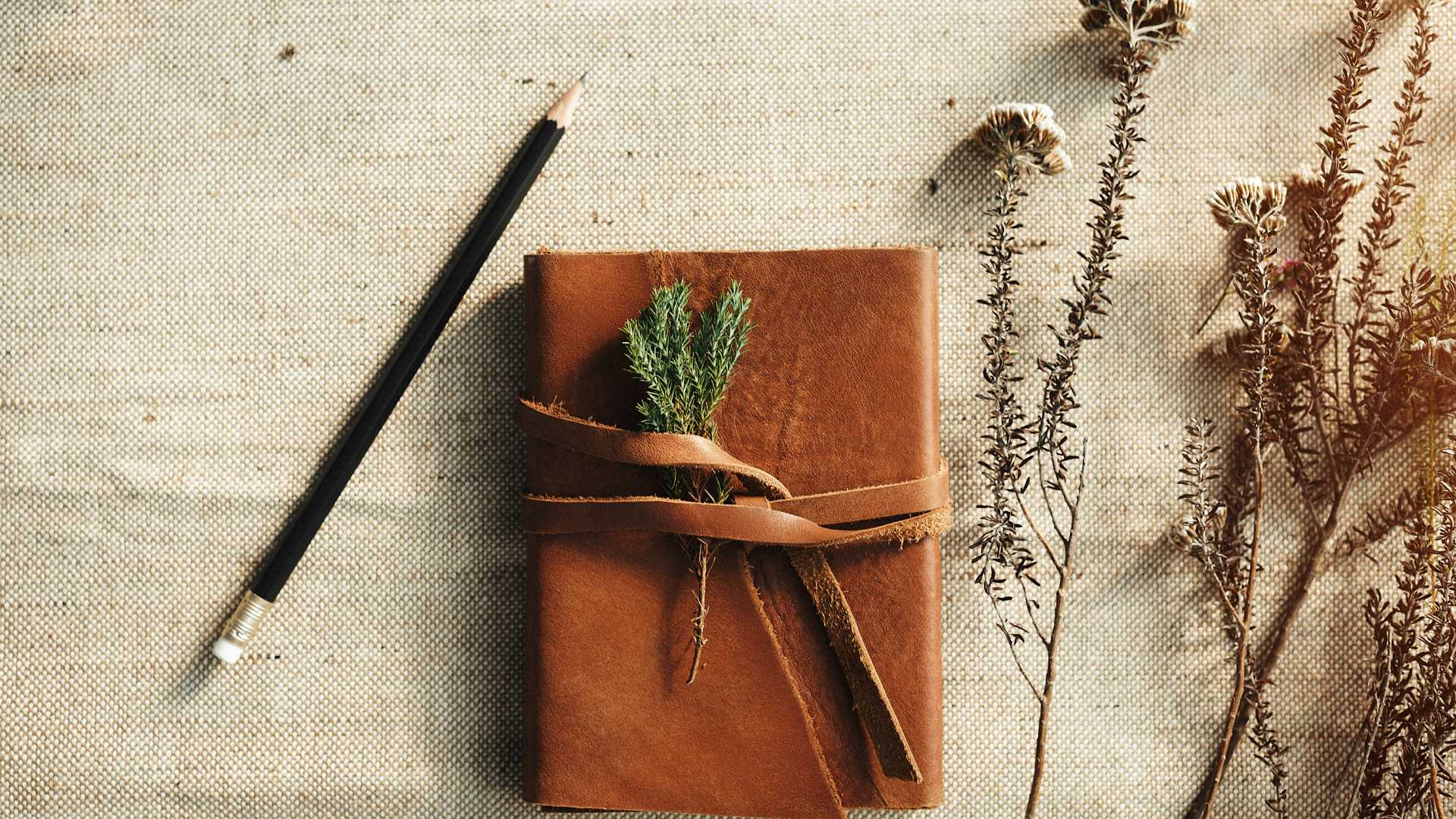 journal pour enfant