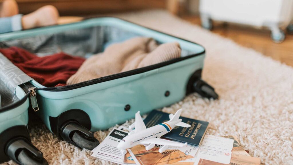 valise
